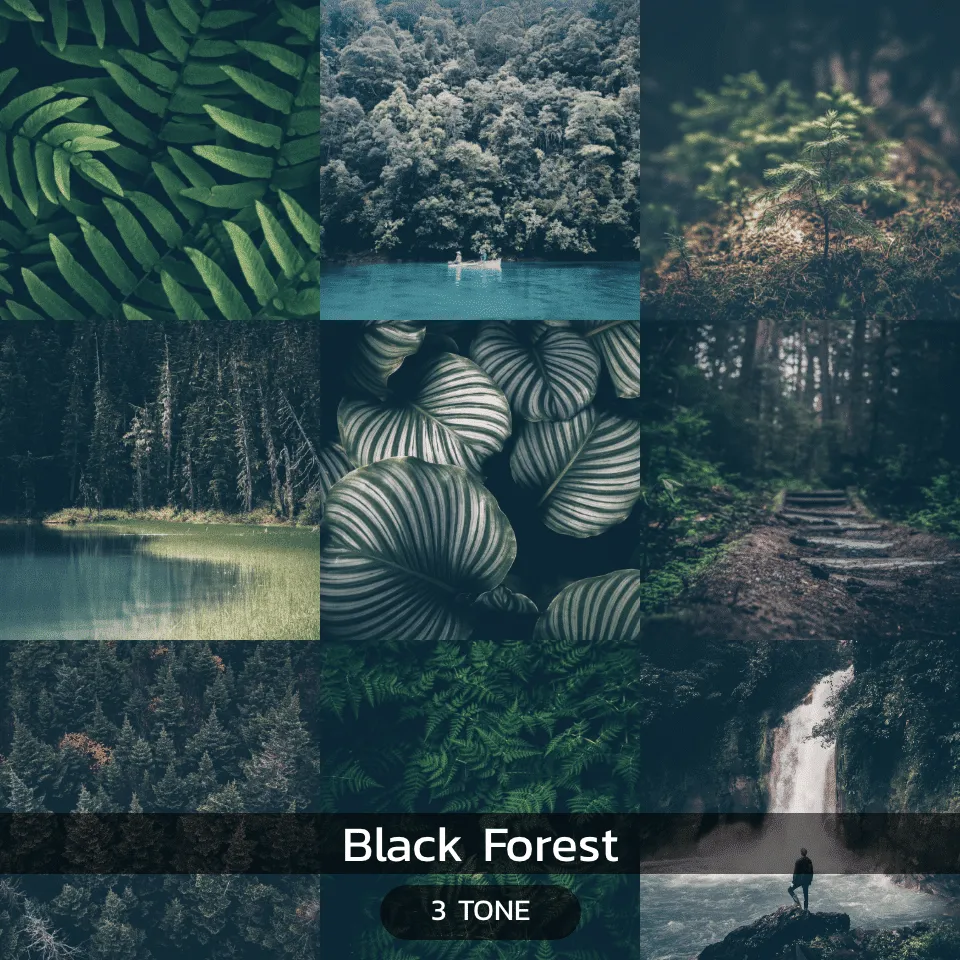 Black Forest
