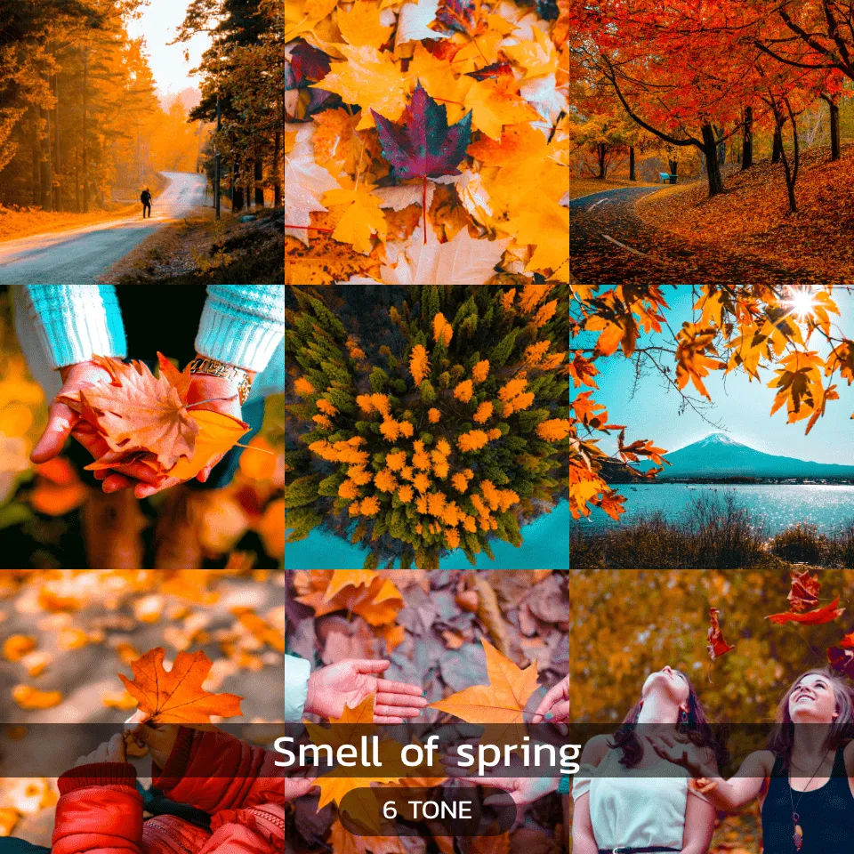 Lightroom Preset โทน Smell of Spring