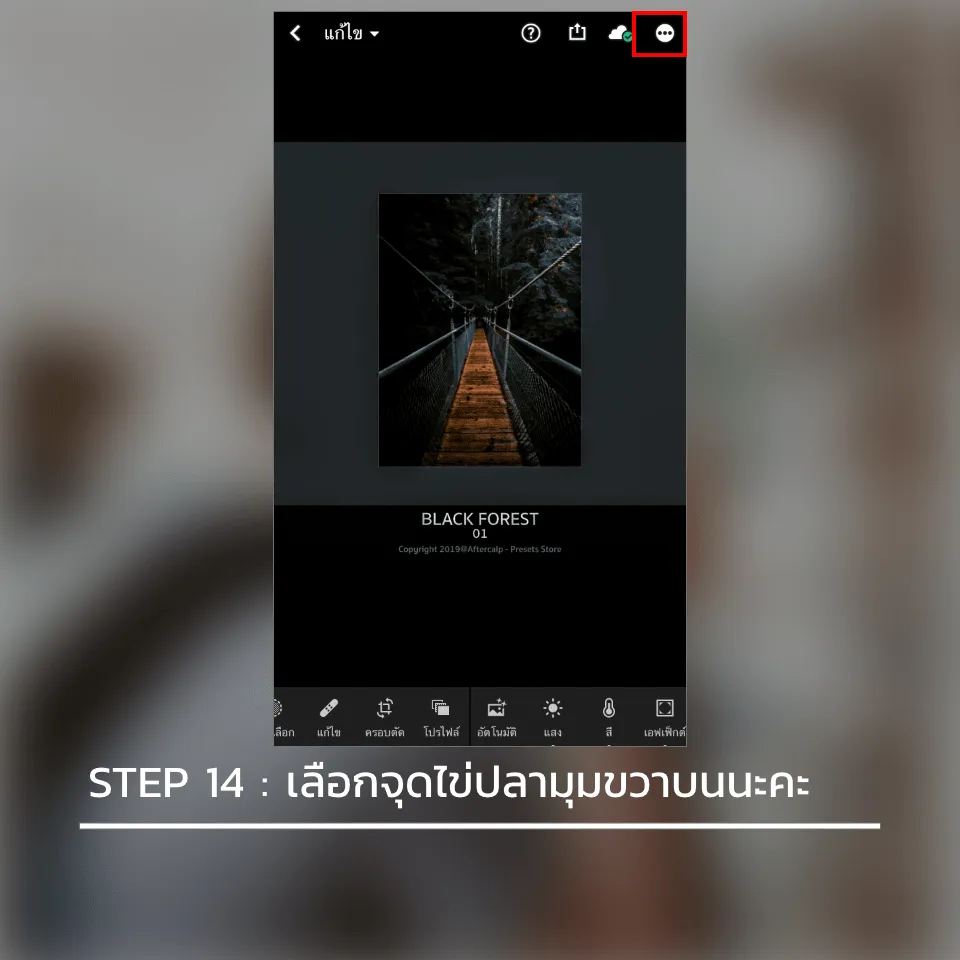 วิธีลง preset lightroom ใน มือถือ ios iphone